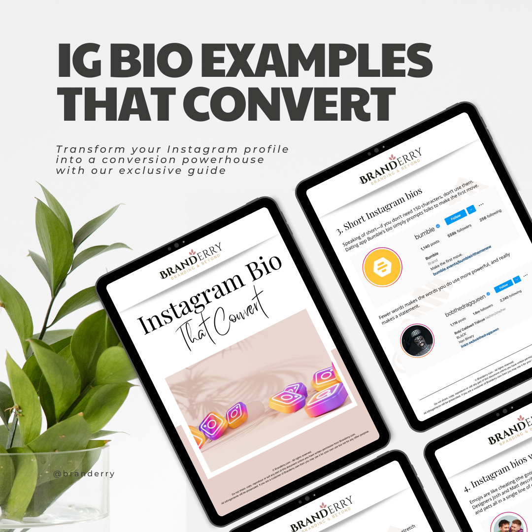 IG Bio Examples That Convert