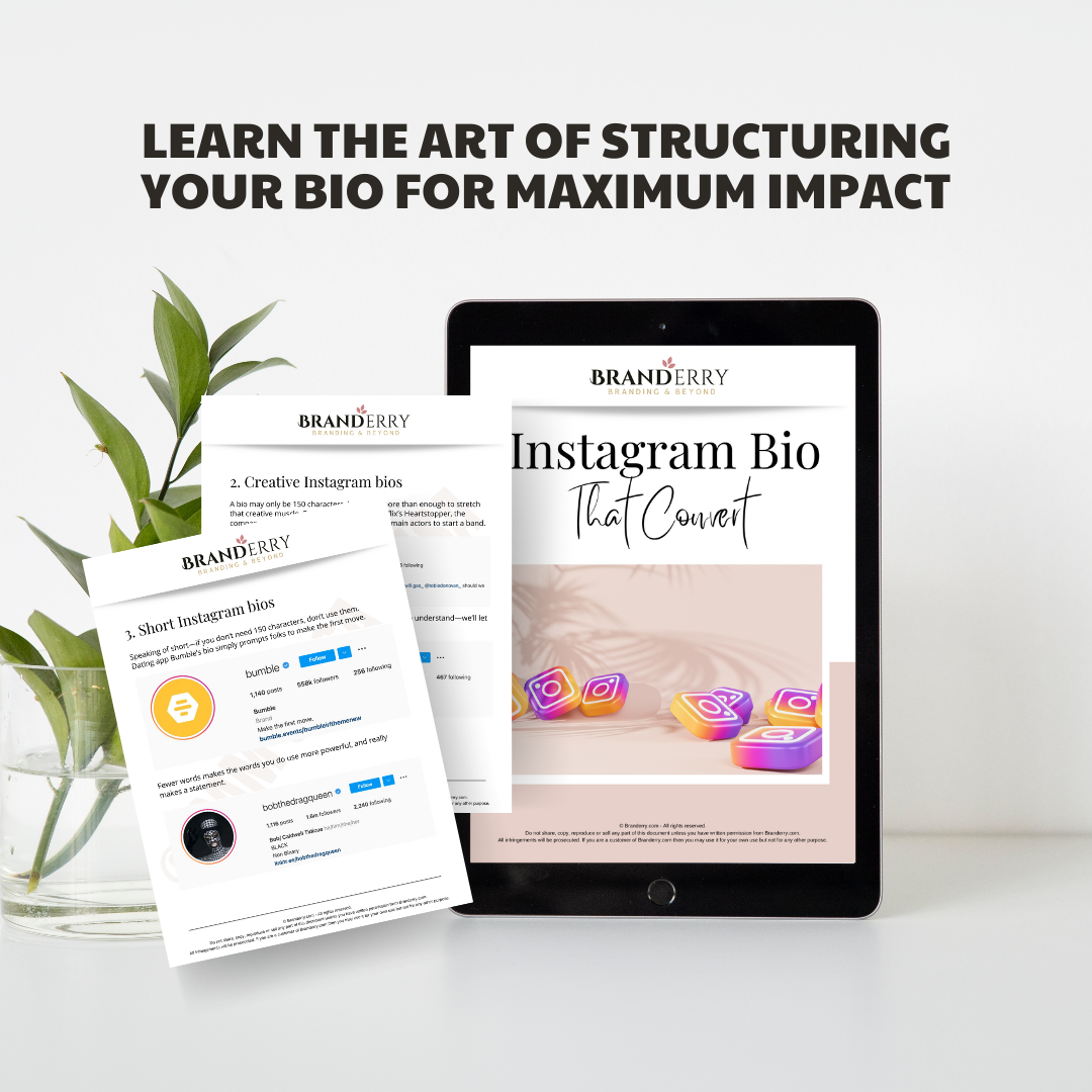 IG Bio Examples That Convert